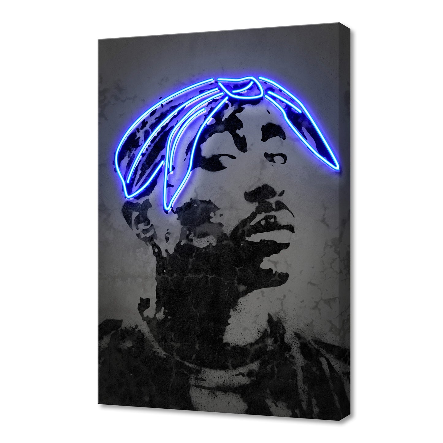 2Pac Fine Art Stretched Canvas