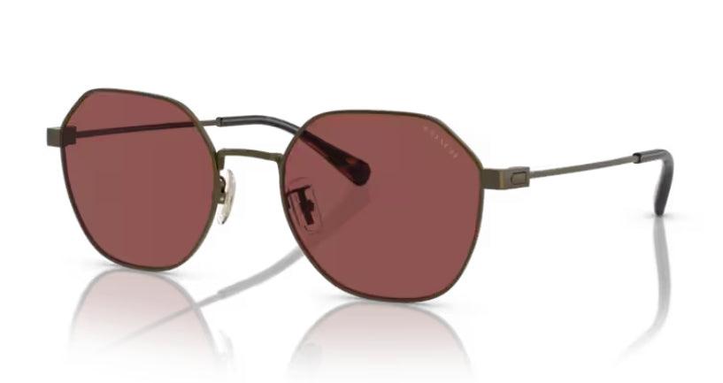 title:Coach Men's 54mm Antique Gold Sunglasses HC7155-933375-54;color:Antique Gold frame, Wine Solid lens