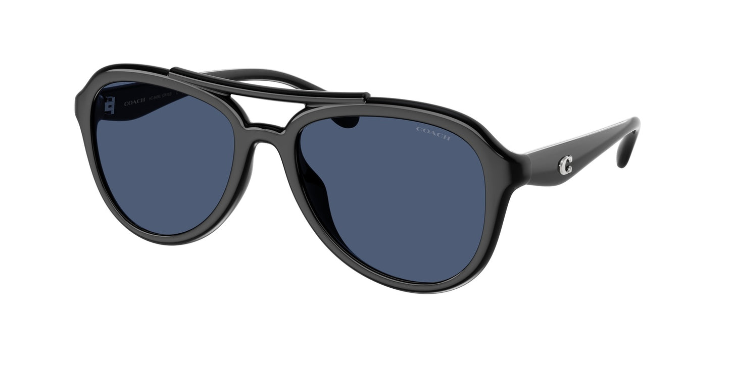 title:Coach Women's 55mm Black Sunglasses HC8406U-500287-55;color:Black