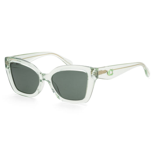 title:Coach Woman 54mm Transparent Pistachio Sunglasses HC8405U-583271-54;color:Transparent Pistachio frame, Green Solid lens