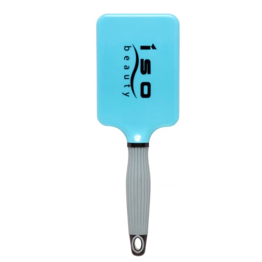 title:Paddle Brush | Accessory;color:not applicable