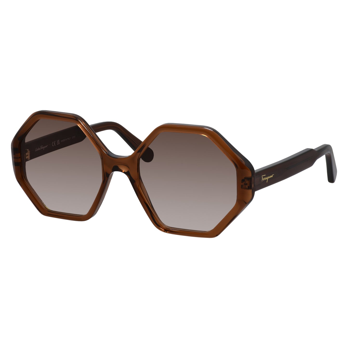 Salvatore Ferragamo Womens Brown Sunglasses SF_1070S_210_55mm