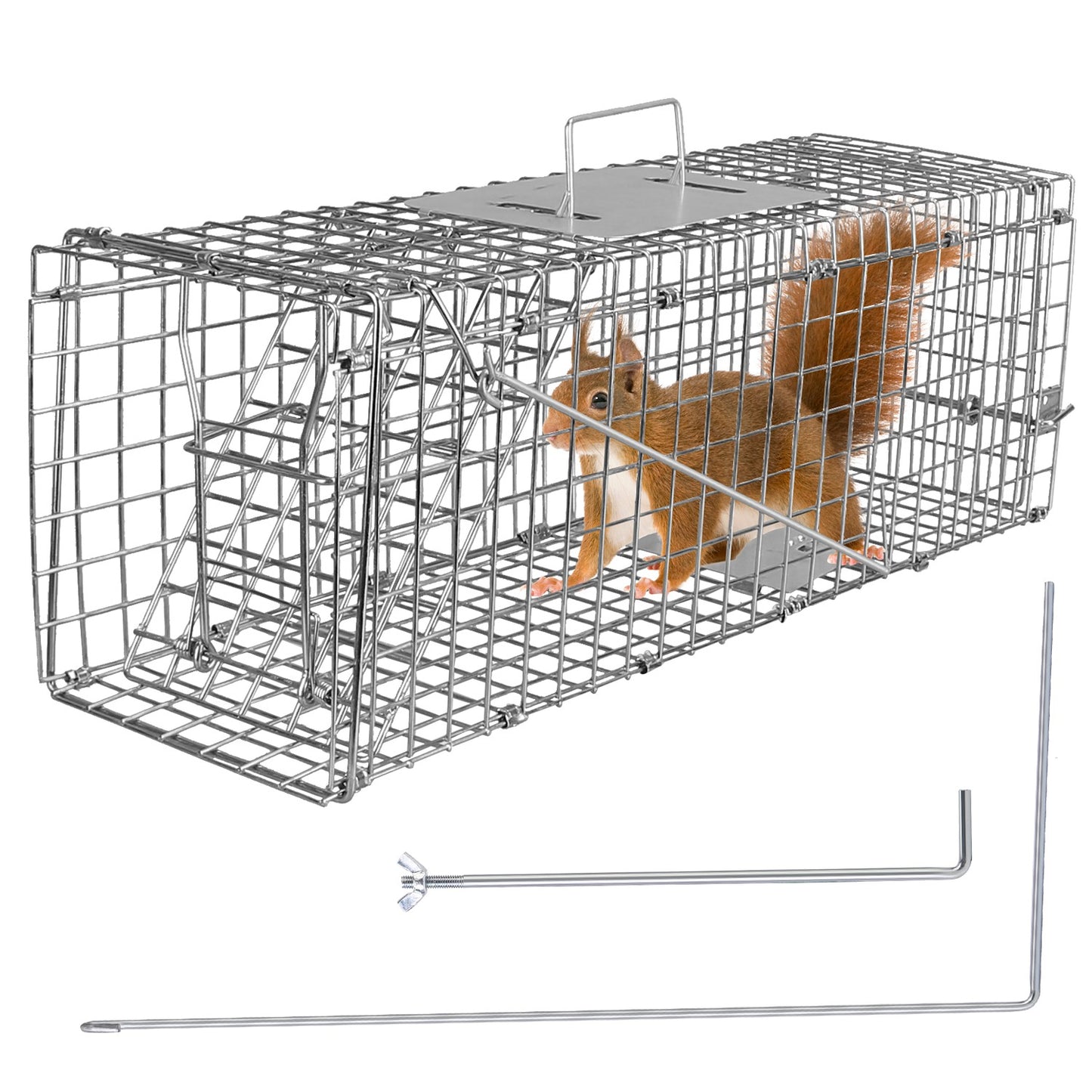 title:Humane Cat Trap Cage Catch Release Live Animal Rodent Cage Collapsible Galvanized Wire for Small Raccoons Beavers Groundhogs Foxes Armadillos;color:not applicable