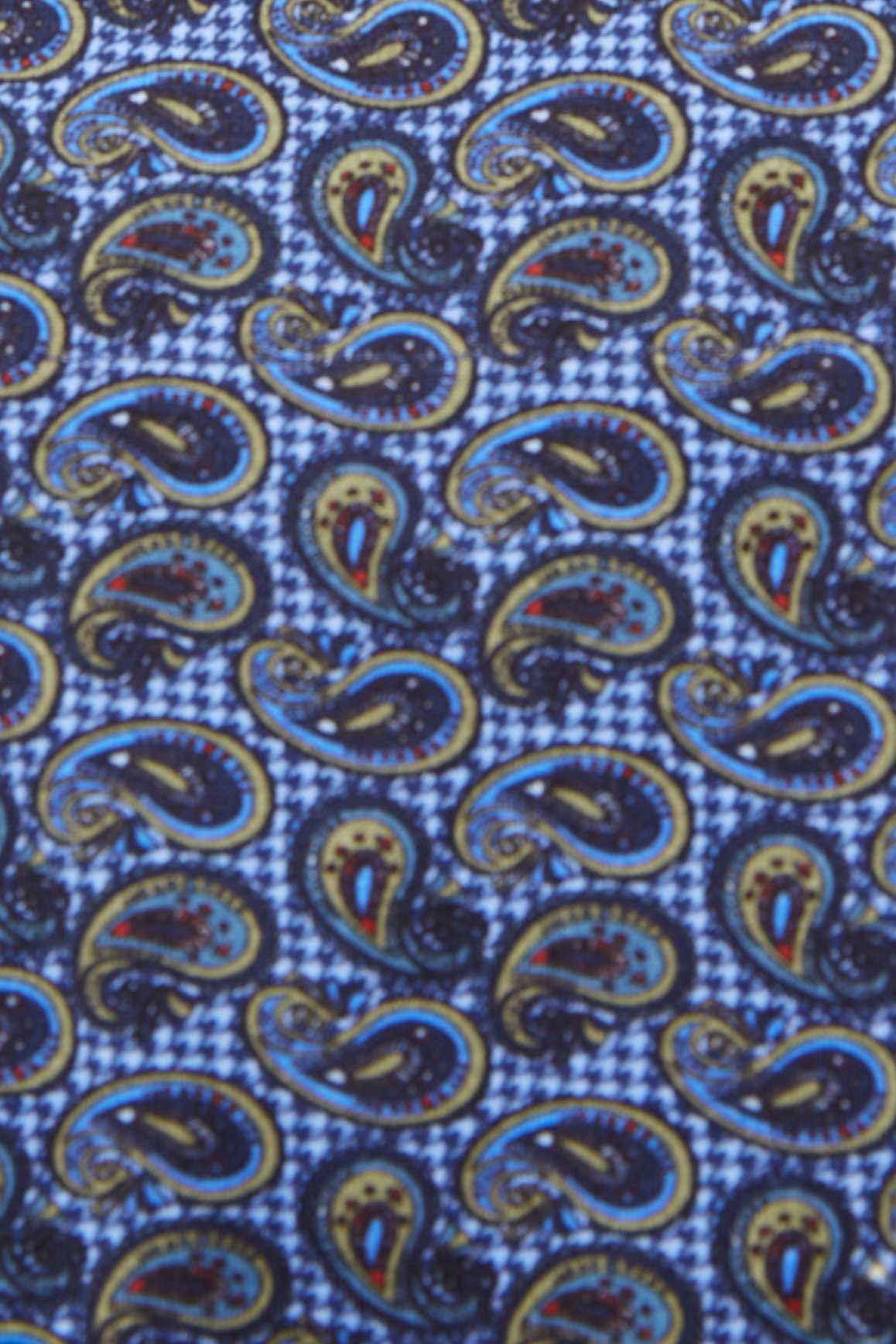 Leo Multicolor Paisley Polo