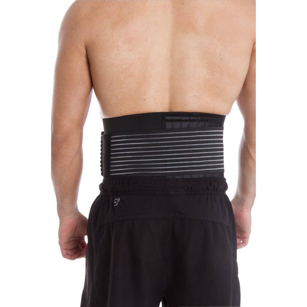 Live Up Deluxe Waist Support