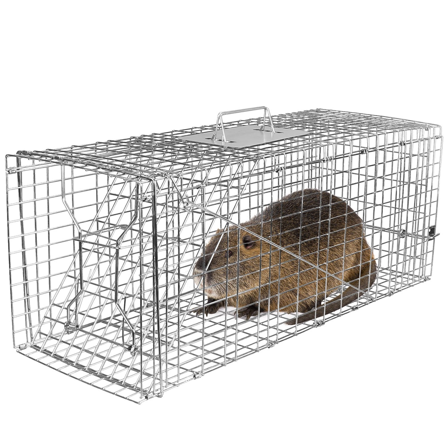 title:Humane Cat Trap Cage Catch Release Live Animal Rodent Cage Collapsible Galvanized Wire for Raccoons Beavers Groundhogs Foxes Armadillos;color:not applicable