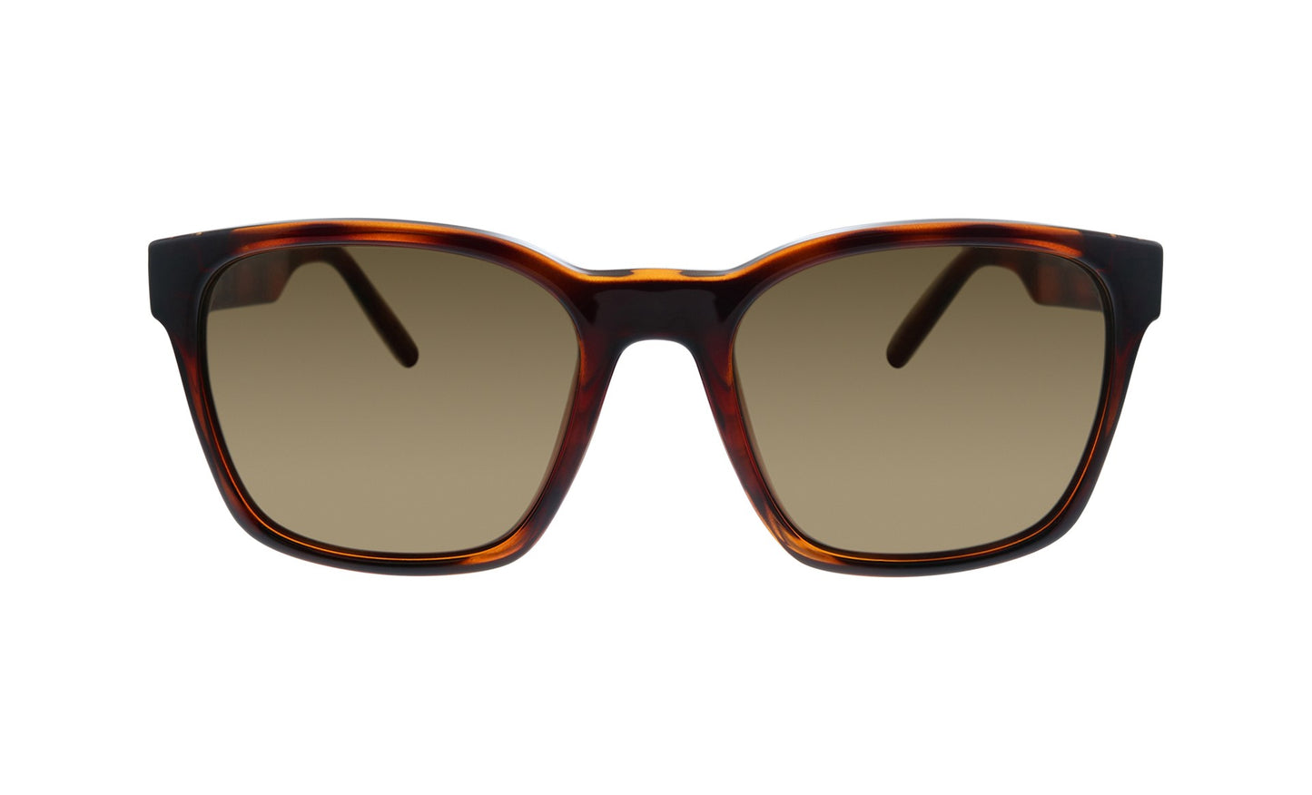 Salvatore Ferragamo Unisex Tortoise Sunglasses SF_959S_214_55mm