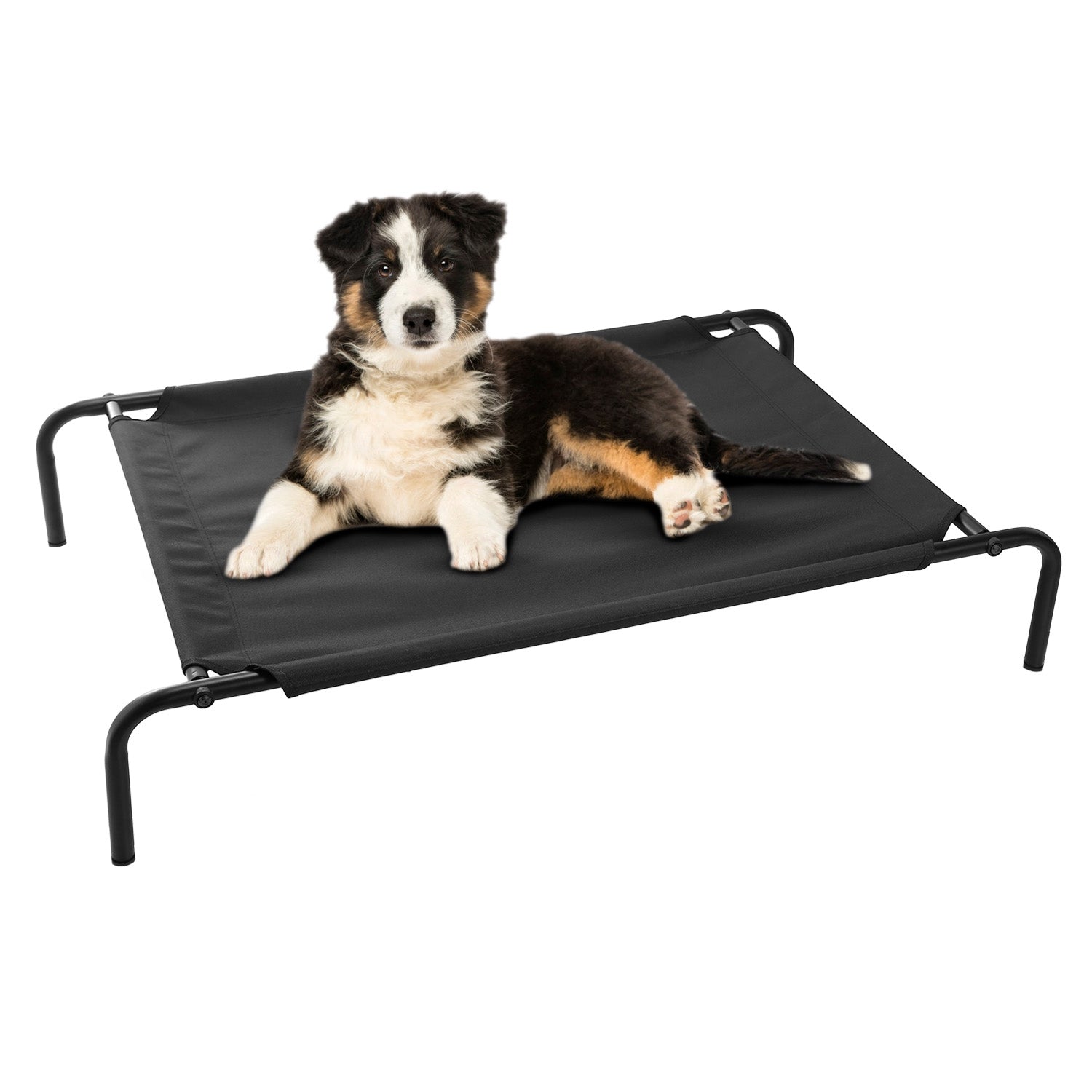 title:Elevated Pet Bed Dogs Cot Dogs Cats Cool Bed S/M/L Heavy-Duty Breathable Washable Indoor Outdoor Use;color:Black