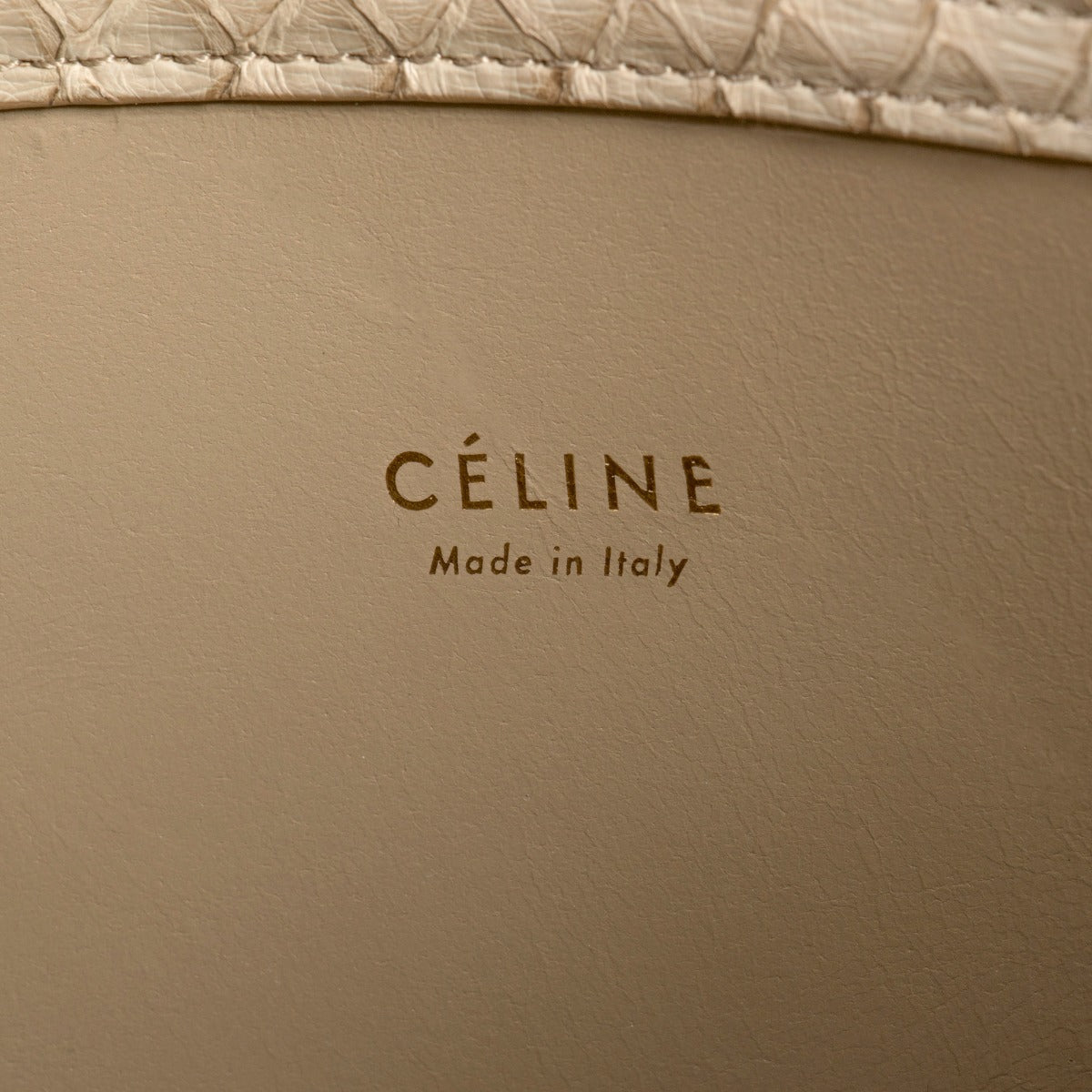 title:Celine Medium Luggage Phantom Bag In Taupe Python;color:Beige